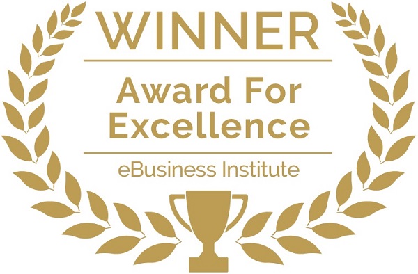 eBusiness Institute Award For Excellence